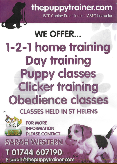 Puppy and Dog Training Puppy Trainer- Park Farm Community